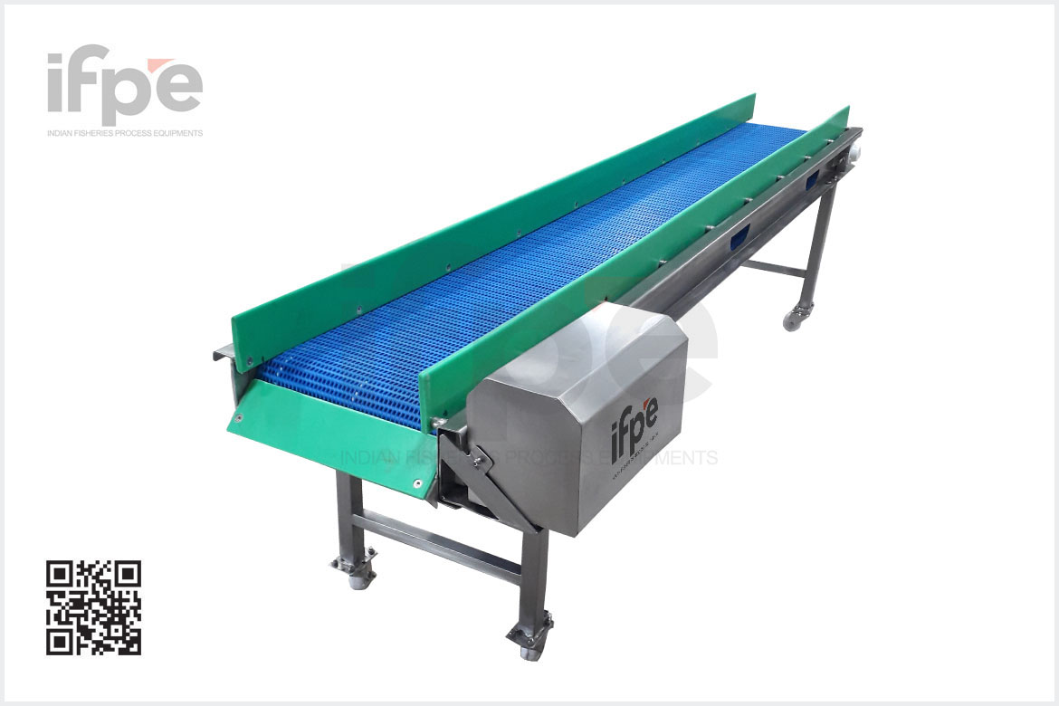 IQF Outfeed Conveyor